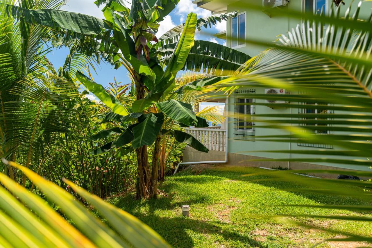 Top View Retreat Selfcatering Anse a La Mouche Exterior photo
